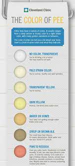 Air kencing yang normal adalah cahaya kuning keemasan. Ketahui Hubungkait Warna Air Kencing Dengan Tahap Kesihatan Badan Yang Perlu Anda Tahu Pengemis Ilmu