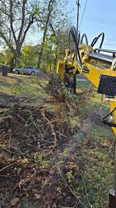 After a week of ownership, greasing and oil changing, getting my hydraulic  thumb installed i dug up my first stump today with my Rippa 319 1 ton....  had to get my sawzall