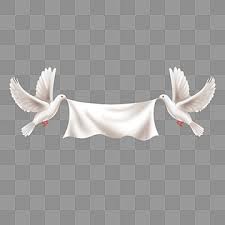 Two Peace Doves Carrying Shadow Effect Banners Two Hold Shadow Png Transparent Clipart Image And Psd File For Free Download Peace Dove Prints For Sale World Peace Day