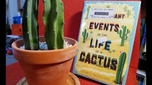 The author of the indienext pick <i>insignificant events in the life of a cactus, </i>she currently lives in with her husband, three daughters, one bobcat, a pack of coyotes, a couple of chuckwallas, several rattlesnakes, and a few. Bookquester Insignificant Events In The Life Of A Cactus Summary About Self Acceptance Youtube