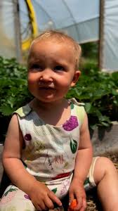 We love strawberries 🍓