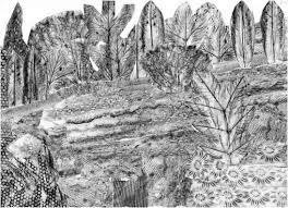 Frottage Drawing Still Life Visual Art Lessons Texture Art Art