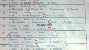 Apakah anda merasa putus asa, bingung atau stres takut di tolak pekerjaan karena gagal menghadapi tes psikotes? Contoh Soal Psikotes Ui Dan Jawaban