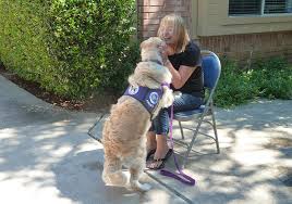 Psychiatric service dogs are a specific type of service dog. Idea Service Dogs
