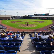 Michigan Wolverines Baseball Tickets Seatgeek