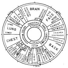 Iridology The Study Of The Correlation Of The Iris And Body