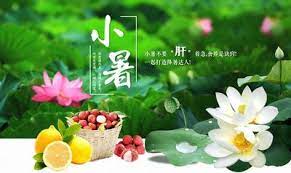 大暑：一年中最热的时候。 立秋：秋季的开始。 处暑：处是终止、躲藏的意思。处暑是表示炎热的暑天结束。 白露：天气转凉，露凝而白。 秋分：昼夜平分。 寒露：露水以寒，将要结冰。 霜降：天气渐冷，开始有霜。 立冬：冬季的开始。 小雪：开始下雪。 å°æš'å'Œå¤§æš'æœ‰ä»€ä¹ˆåŒºåˆ« çœ‹çœ‹ç½'å‹æ˜¯æ€Žä¹ˆè¯„è®º çœ‹å·