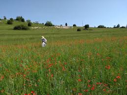 Maybe you would like to learn more about one of these? Dr Hannah Burger Universitat Ulm