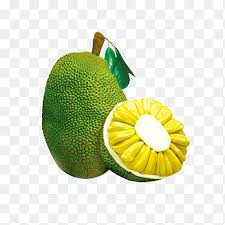 jackfruit png images pngegg jackfruit png images pngegg