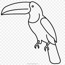 Colors of toucan palettes with color ideas for decoration your house, wedding, hair or even nails. Beak Bird Drawing Toucan Coloring Book Png 1000x1000px Beak Adult Animal Area Artwork Download Free