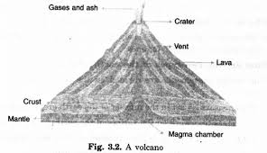 Pin On Extra Questions For Class 7 Social Science Geography