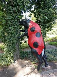 the random pics (495) - Dump A Day