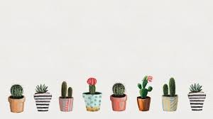 There are 72 succulent aesthetic desktop wallpapers published on this page. Cute Plant Computer Wallpapers Wallpaper Cave