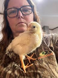 Lets freeze some strawberries 🍓🍓