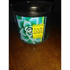 One of the greatest american brands specialising in cosmetics and the most amazing home fragrance. Bath And Body Works Baja Cactus Blossom Candle Reviews In Candles Familyrated