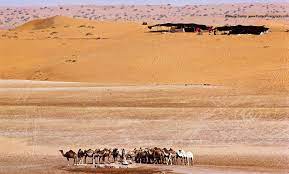 well and bedouin encampment in the nafud desert wayne eastep fun deserts north africa deserts