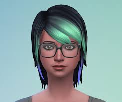 Family Name Board with Pets' Names