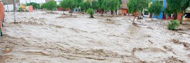 Earthquakes, volcanic eruptions and other underwater explosions (including detonations, landslides, glacier calvings, meteorite impacts and other disturbances) above or below water all have the potential to generate a tsunami. Tsunamis Information Facts Canadian Red Cross
