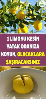 Bir Limonu Kesin Ve Yataginizin Bas Ucuna Koyun Mucizevi Etkisine Tanik Olun Limon Sifa Kadin Saglik Health Health Fitness Food