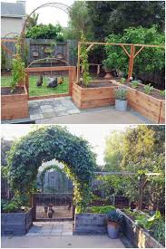 How To Grow Purple Passion Fruit Vs Maypops The Ultimate Guide In 2020 Backyard Vegetable Gardens Vegetable Garden Design Backyard Garden Design