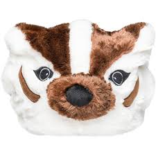 Forever Collectibles Plush Bucky Badger Hat University