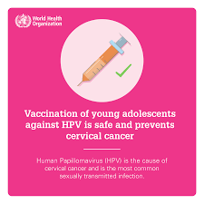 Cervical cancer is the fourteenth most common type of cancer in women in the uk. Immunizing Against Hpv