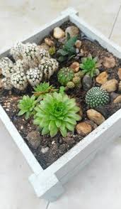 Encontre as melhores ideias e inspirações para casa. Como Crear Un Macetero De Madera Para Cactus Y Suculentas Rincon De Colores