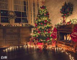 Tips For Proper Christmas Tree Disposal In Santee