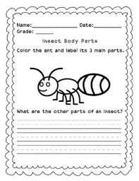 If i give my little one some scissors, paper, and a glue stick, it will keep her busy for hours! 35 Label An Insect Body Parts Worksheet Labels Database 2020