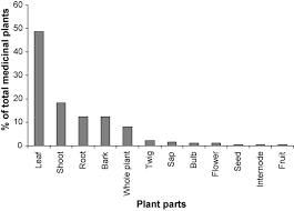 Image result for Sopubia ugandensis