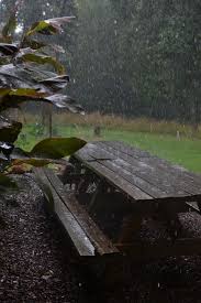 Our Neck Of The Woods Clearing The Camera Rain Photography Rain Pictures Smell Of Rain