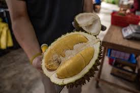 Acara kendurian shah alam gagal, pengunjung rasa tertipu #selangor #negaraku #malaysia. Q0t0h5qaufhygm