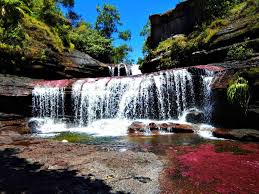 Hasta las 4:00 p.m., según la reglamentación de las entidades ambientales. Cano Cristales Osprey Expeditions