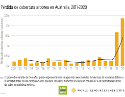 Keanekaragaman hayati tercermin dalam perbedaan. Apa Yang Terjadi Pada Hutan Global Pada 2020 Global Forest Watch Blog