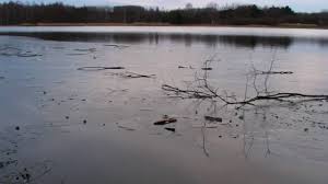 De brasserie heeft een speeltuin met verschillende speeltuigen voor groot en klein, een springkasteel , een wei met twee minipaardjes en zo veel meer. Bevroren Meer Van Rotselaar Youtube