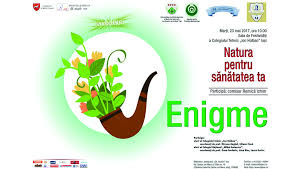 Colegiul tehnic ion holban iasi. Natura Pentru SÄƒnÄƒtatea Ta Enigme Cultura In Iasi
