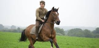 Resultado de imagem para Foto homem campones  com cavalo