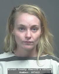 NOVEMBER 1, 2017 DEPUTY TAKES TWO INTO CUSTODY ON MULTIPLE CHARGES  FOLLOWING EARLY MORNING TRAFFIC STOP MARYVILLE, TENNESSEE