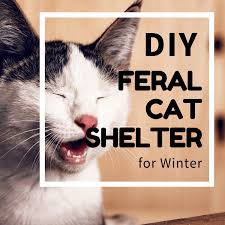 Steal unique marvelous feral cat house plans #1 cat house plans feral cat condos design recommendations from marie cook to redesign your space. Diy Cat Shelter For Ferals In The Winter Pethelpful By Fellow Animal Lovers And Experts
