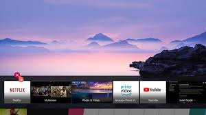 How To Clear App Cache And Browsing Data On Lg Smart Tv
