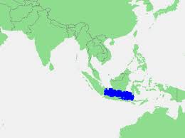 Maybe you would like to learn more about one of these? Java Sea Wikipedia