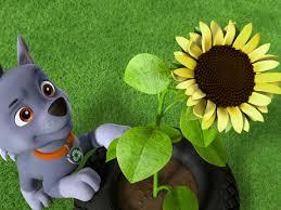 Kami telah memperoleh pendaftaran resmi dengan agen ksp di indonesia. Prime Video Paw Patrol Staffel 6 Teil 1 Dt Ov