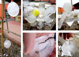 Thema winter im kindergarten stichworte: Projekte