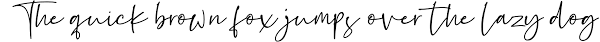 In the rathena scripting language, variable names are not case sensitive. The Delightful Font Bundle Iv Font Bundles