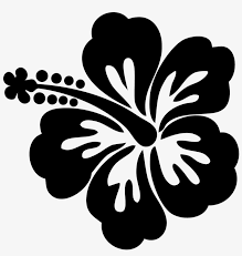 The set includes facts about parachutes, the statue of liberty, and more. Hawaii Flower Hawaiian Flower Black And White Transparent Png 1000x1000 Free Download On Nicepng