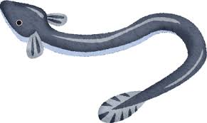S:330円〜 id：5584664 うなぎ 土用の丑 ロゴ はこちら. ã‚¦ãƒŠã‚®ã®ç„¡æ–™ã‚¤ãƒ©ã‚¹ãƒˆ ãƒ•ãƒªãƒ¼ã‚¤ãƒ©ã‚¹ãƒˆç´ æé›† ã‚¸ãƒ£ãƒ'ã‚¯ãƒªãƒƒãƒ—