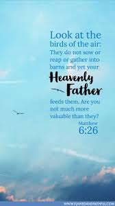 Birds Of The Air Pin On My Hope Comes From The Lord