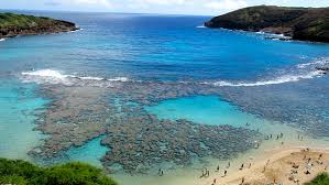 Snorkeling At Hanauma Bay Hawaii Everything You Need To Know