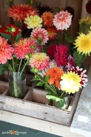 What flowers last the longest in an arrangement. How To Make Cut Flowers Last Easy Tips And Tricks That Work