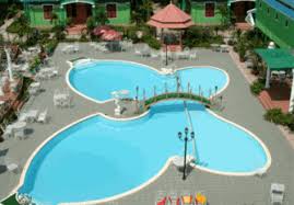 Káº¿t quáº£ hÃ¬nh áº£nh cho bá» bÆ¡i thÃ´ng minh